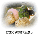 2009315-01.gif