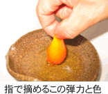 2009315-04.gif